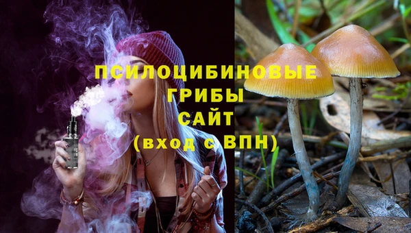 марки lsd Михайлов