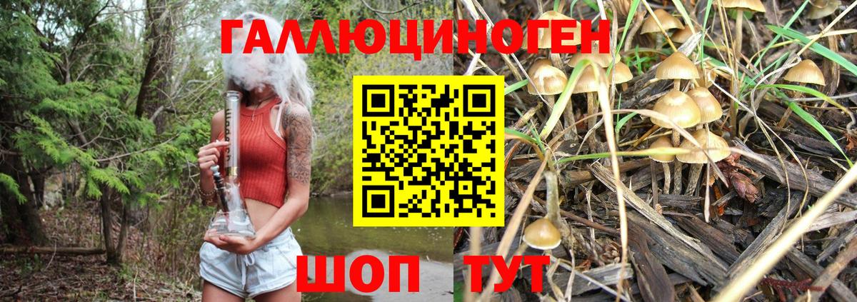 Псилоцибиновые грибы Psilocybe  цена   Ангарск 