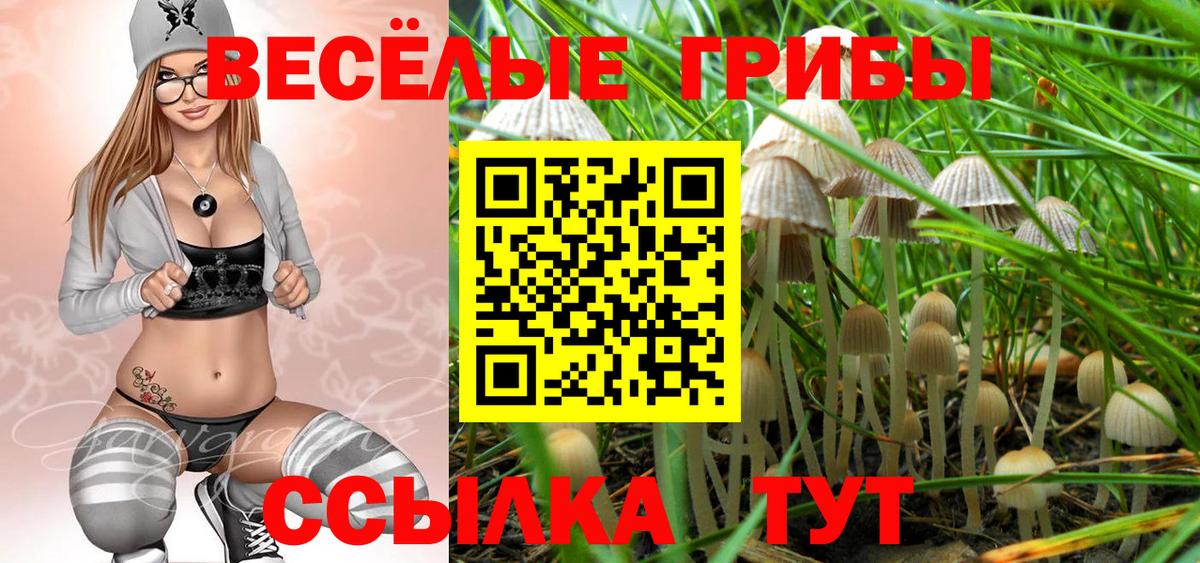 Псилоцибиновые грибы ЛСД  Вход с VPN  Ангарск 